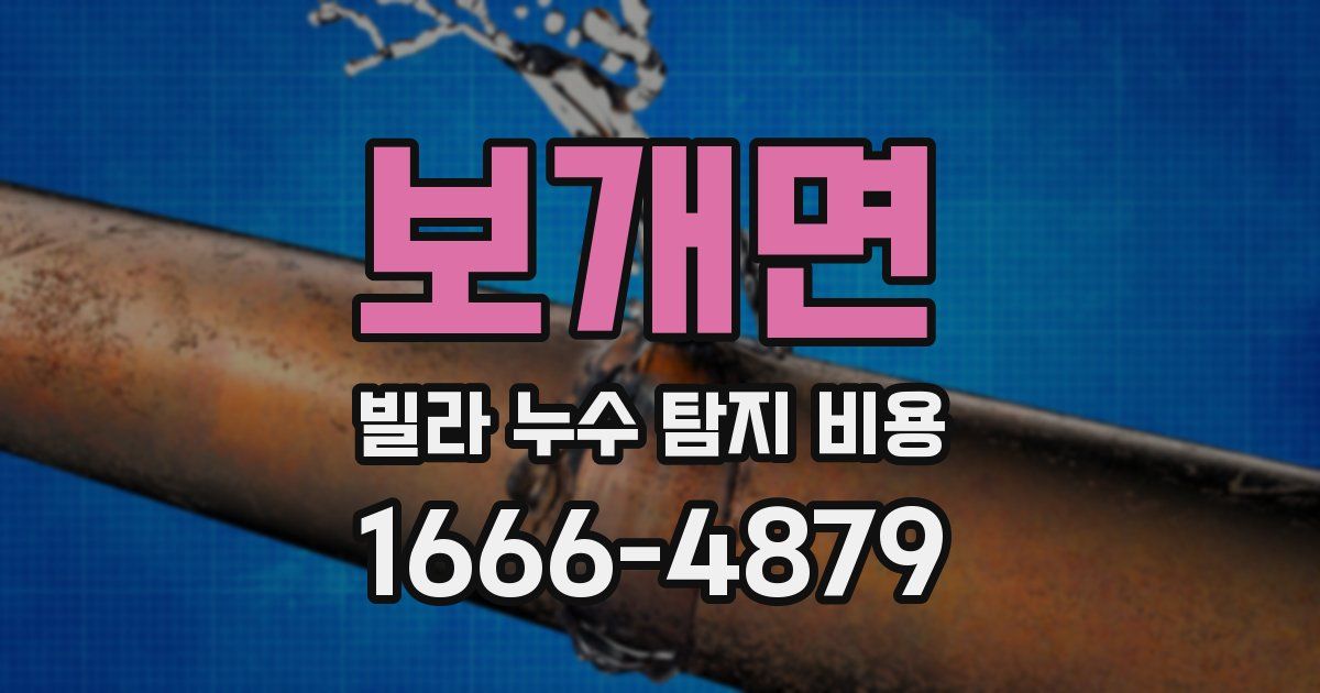 보개면 빌라 누수 탐지 비용