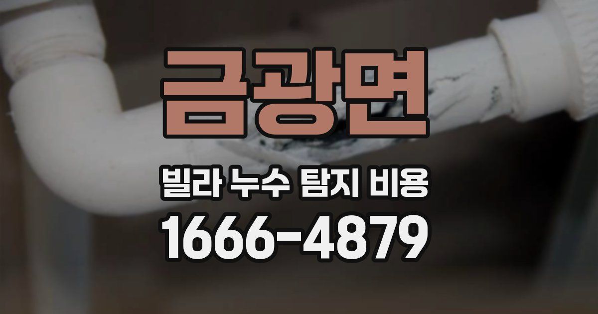 금광면 빌라 누수 탐지 비용