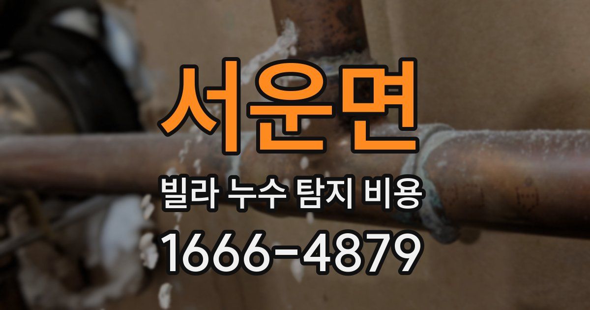 서운면 빌라 누수 탐지 비용