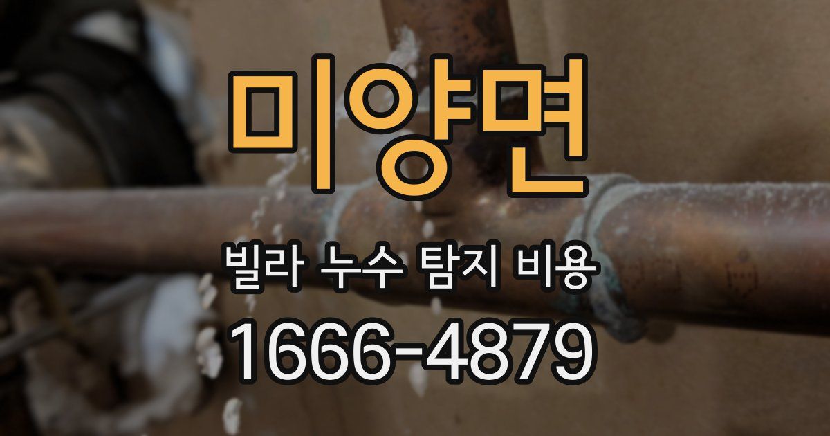 미양면 빌라 누수 탐지 비용