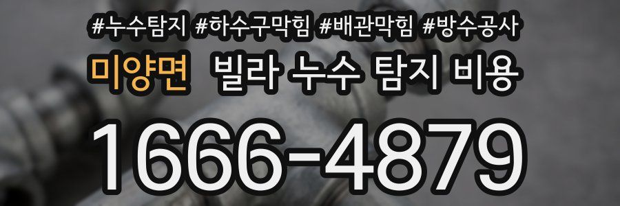 미양면 빌라 누수 탐지 비용