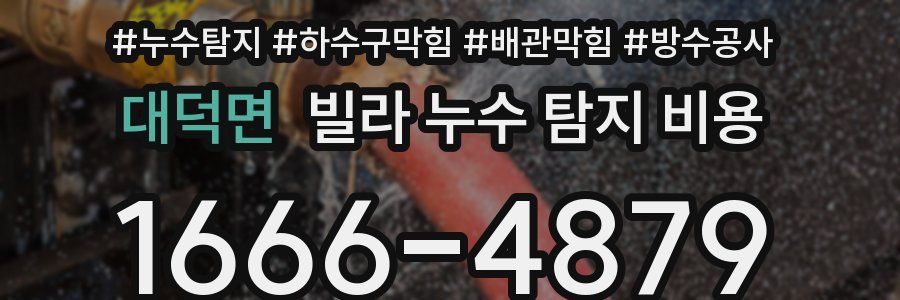 대덕면 빌라 누수 탐지 비용