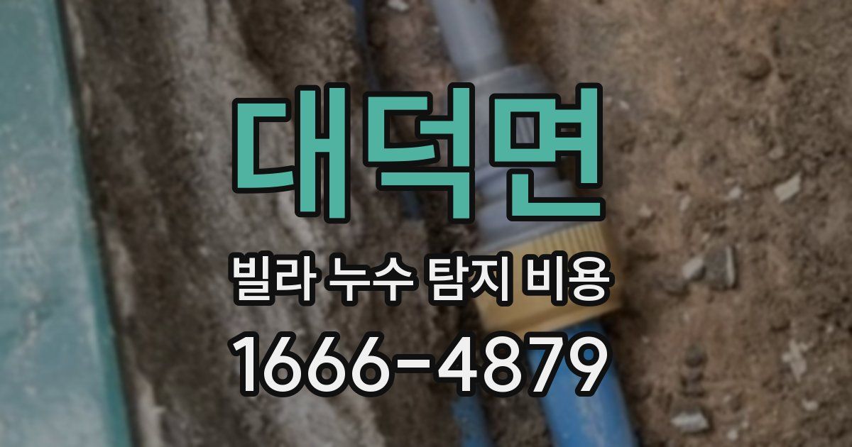대덕면 빌라 누수 탐지 비용