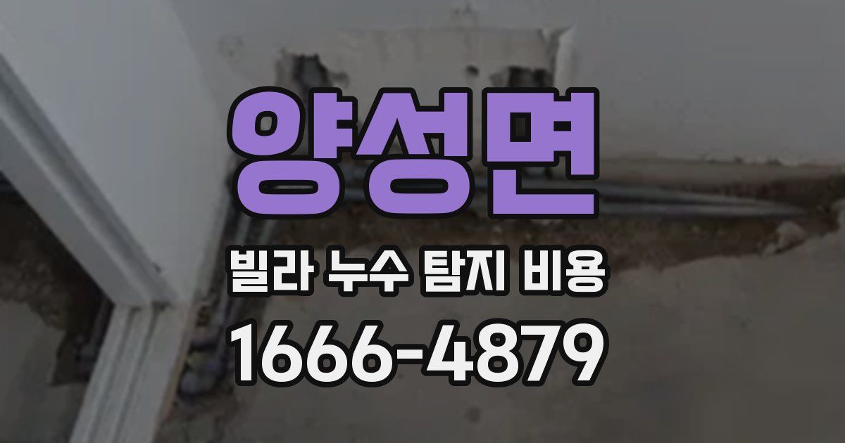 양성면 빌라 누수 탐지 비용