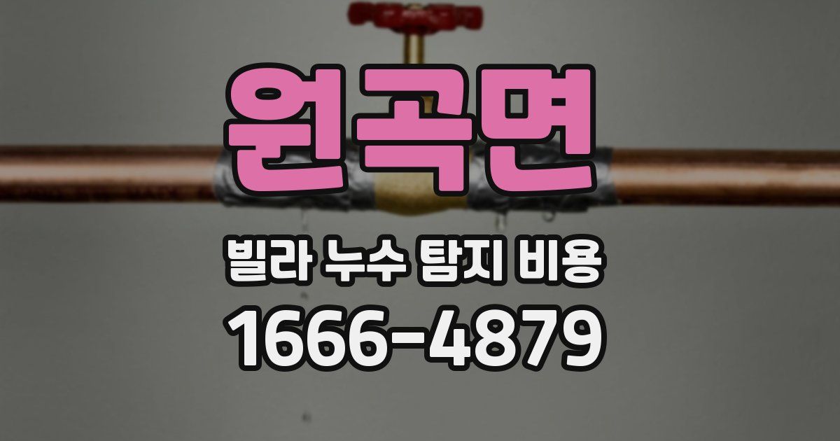원곡면 빌라 누수 탐지 비용