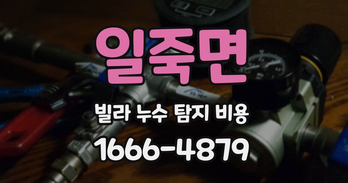 일죽면 빌라 누수 탐지 비용