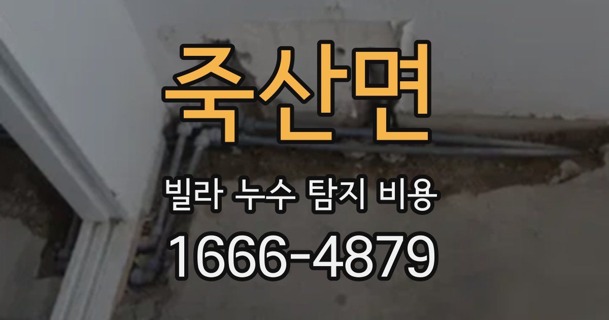 죽산면 빌라 누수 탐지 비용