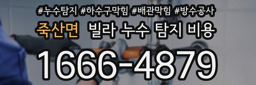 죽산면 빌라 누수 탐지 비용