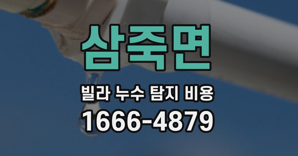 삼죽면 빌라 누수 탐지 비용