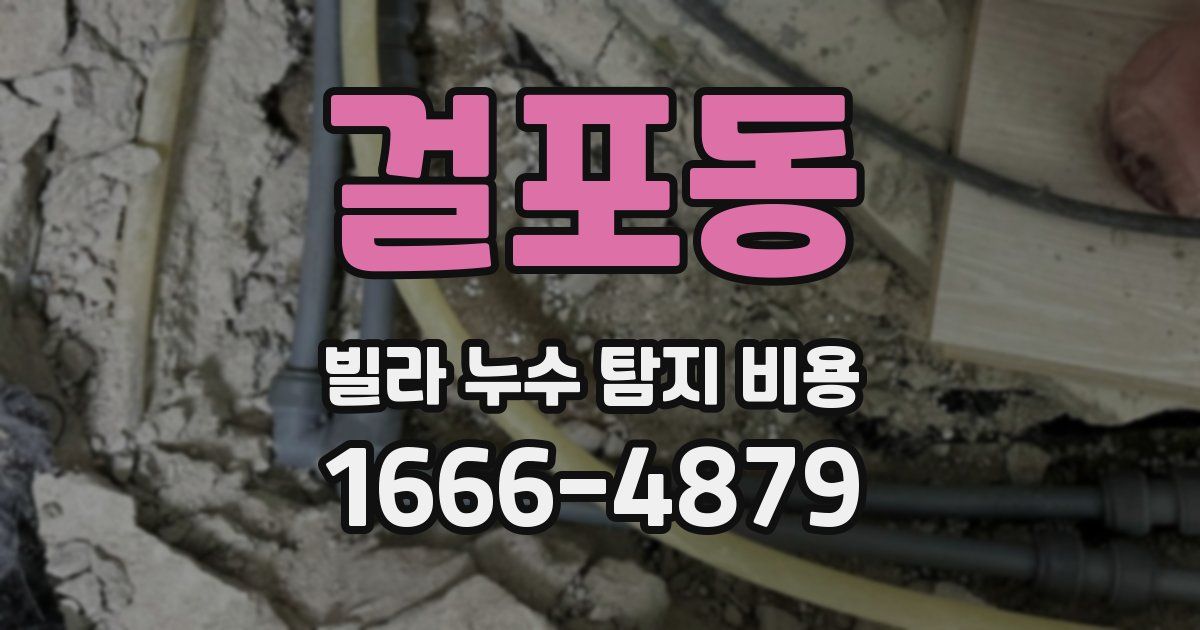 걸포동 빌라 누수 탐지 비용