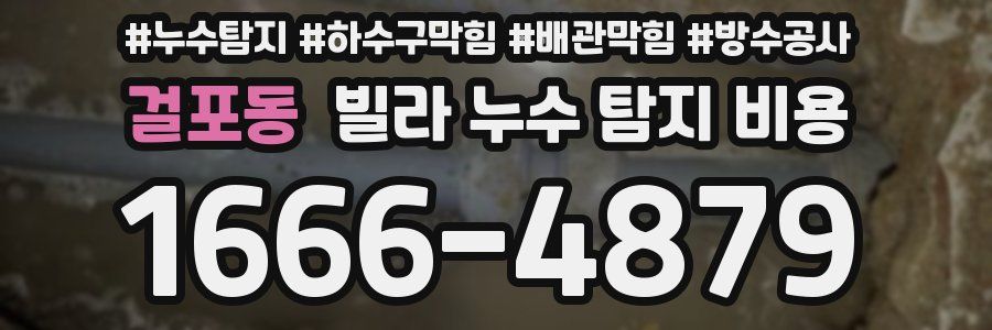 걸포동 빌라 누수 탐지 비용