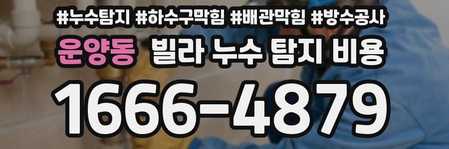 운양동 빌라 누수 탐지 비용