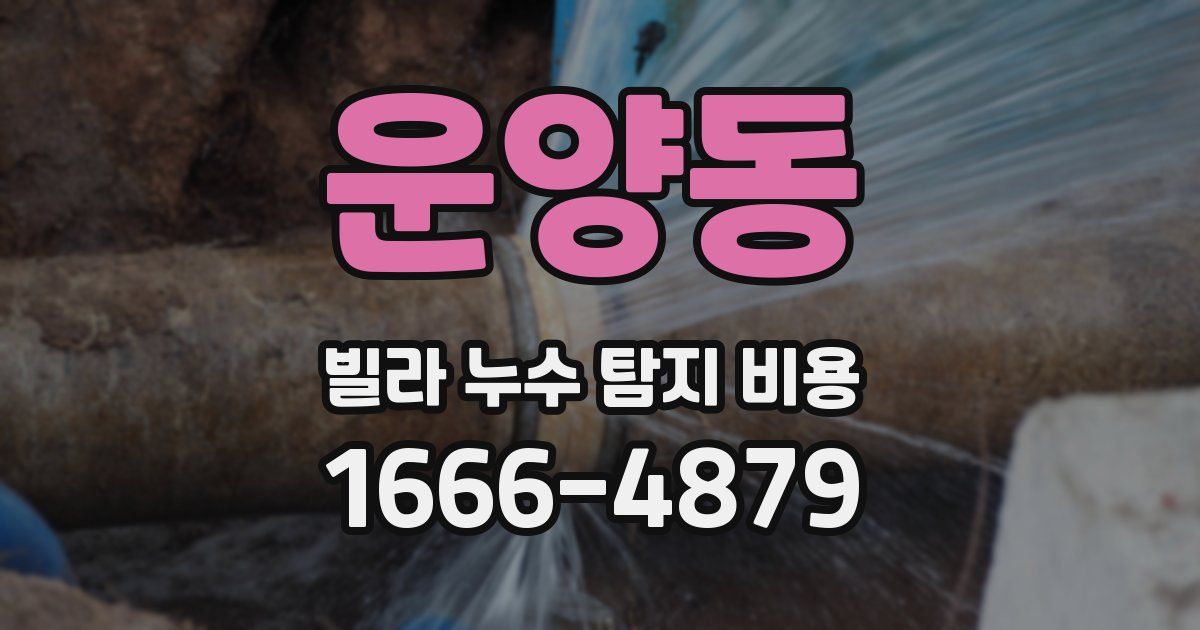 운양동 빌라 누수 탐지 비용