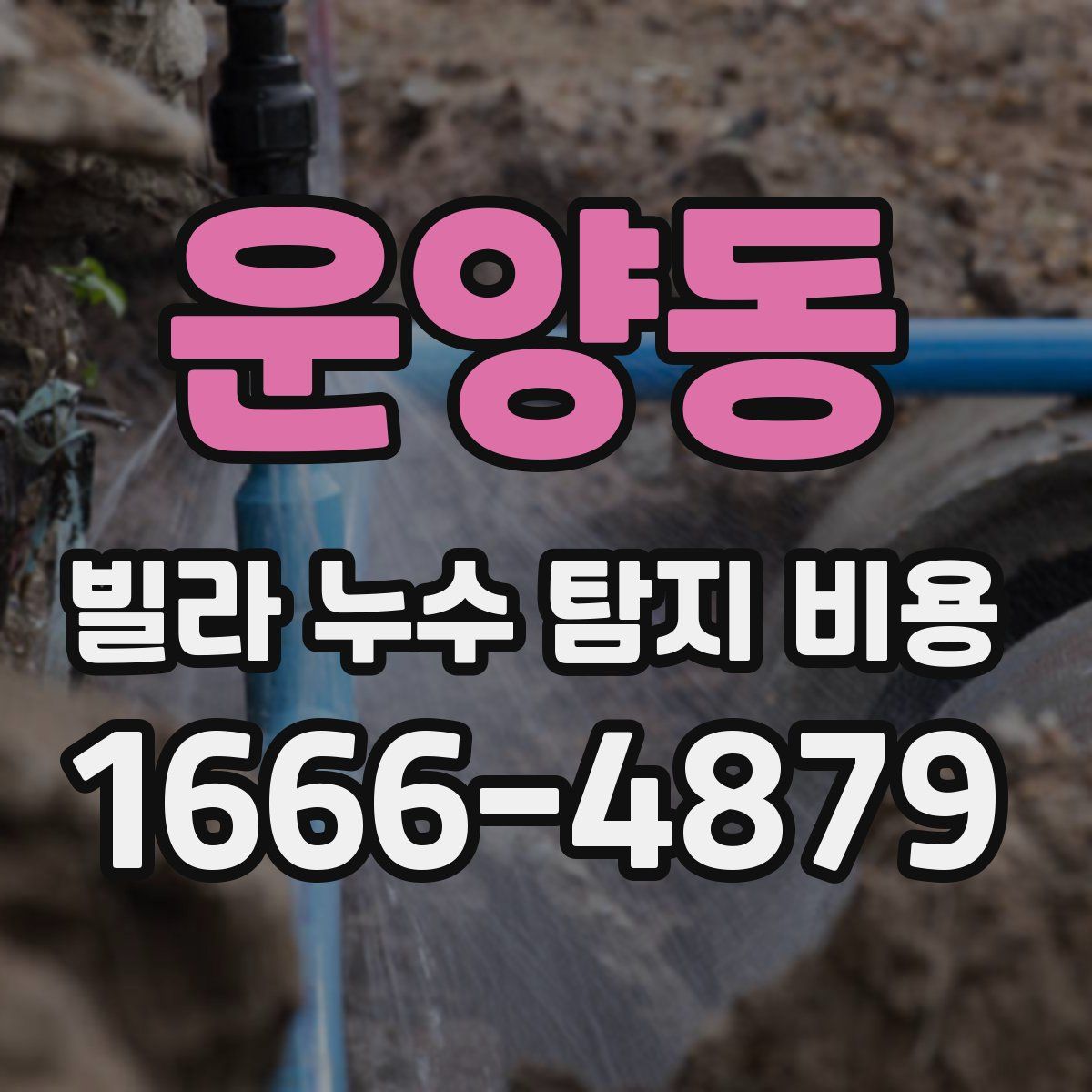 운양동 빌라 누수 탐지 비용
