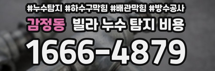 감정동 빌라 누수 탐지 비용