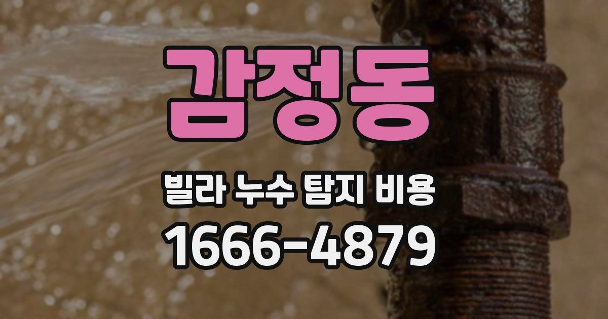 감정동 빌라 누수 탐지 비용