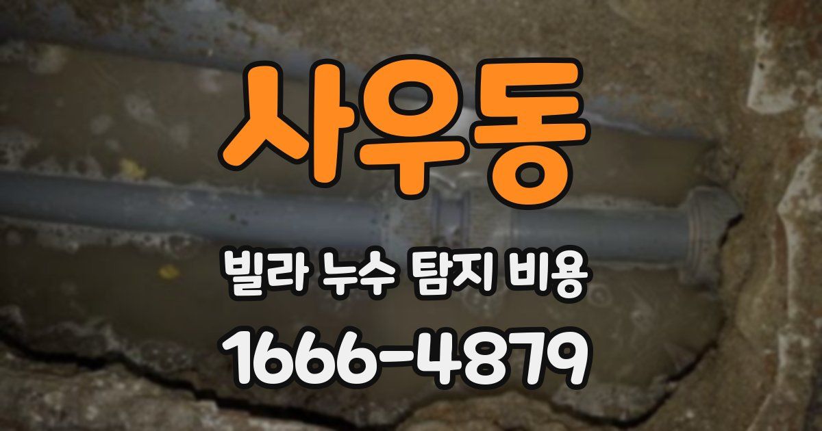 사우동 빌라 누수 탐지 비용