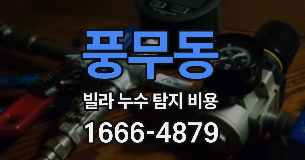 풍무동 빌라 누수 탐지 비용