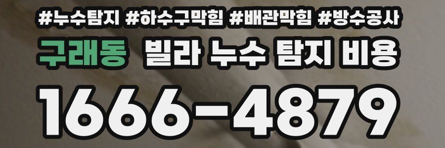 구래동 빌라 누수 탐지 비용
