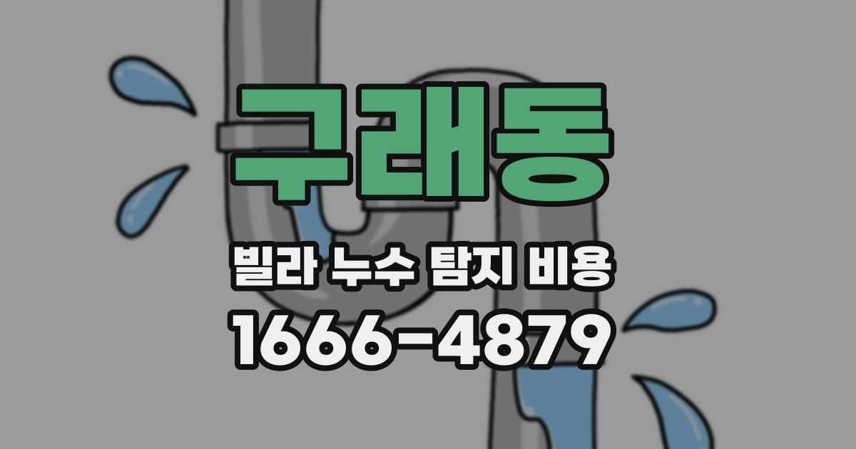 구래동 빌라 누수 탐지 비용