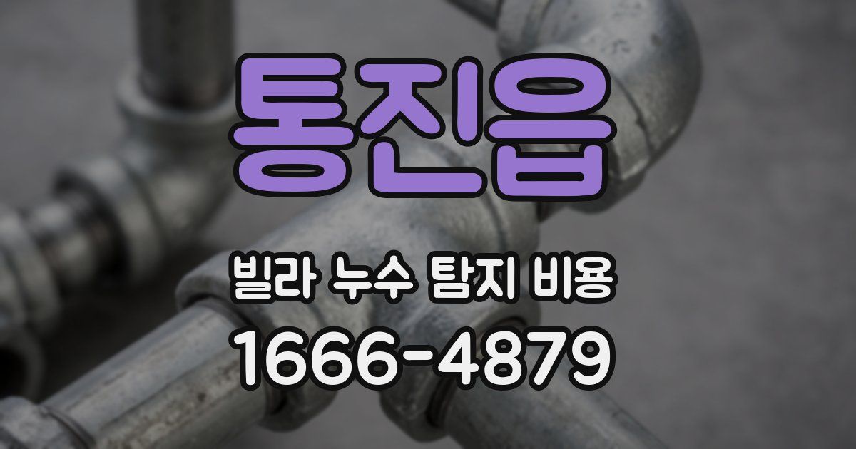 통진읍 빌라 누수 탐지 비용