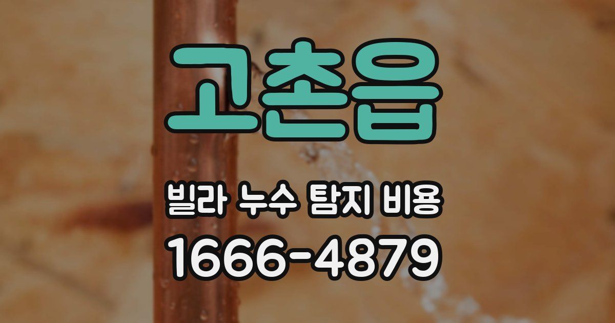 고촌읍 빌라 누수 탐지 비용