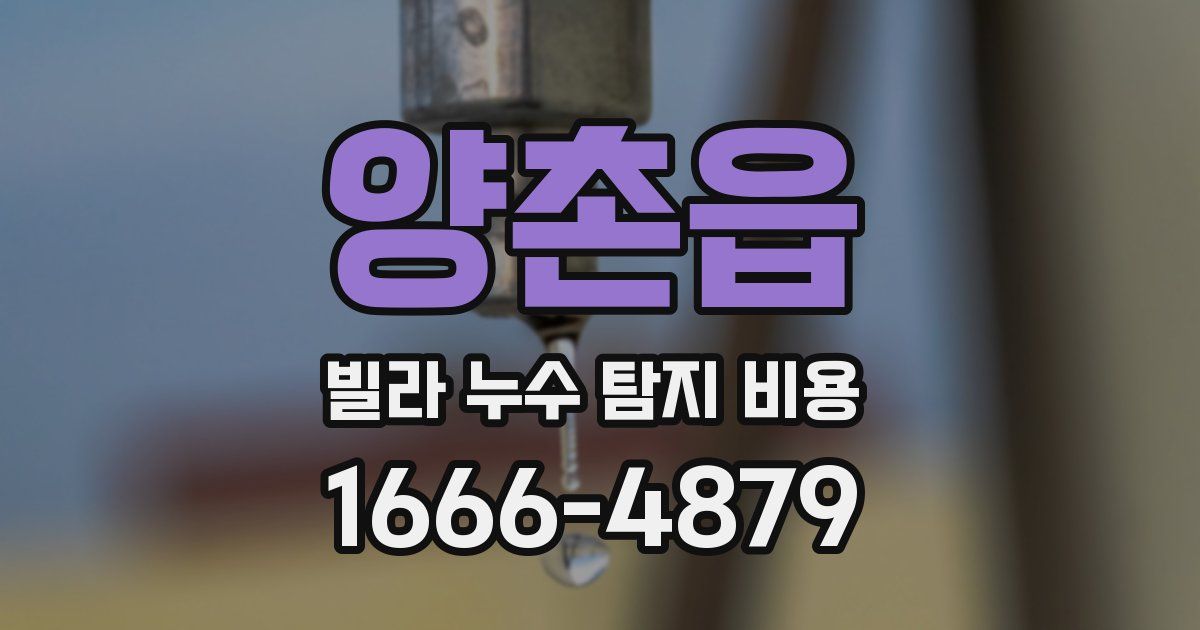 양촌읍 빌라 누수 탐지 비용