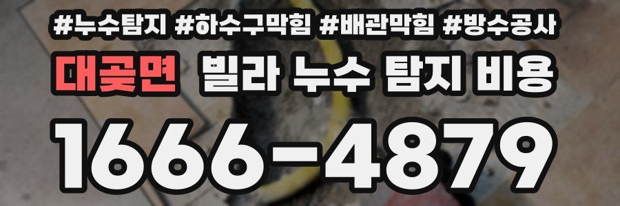 대곶면 빌라 누수 탐지 비용