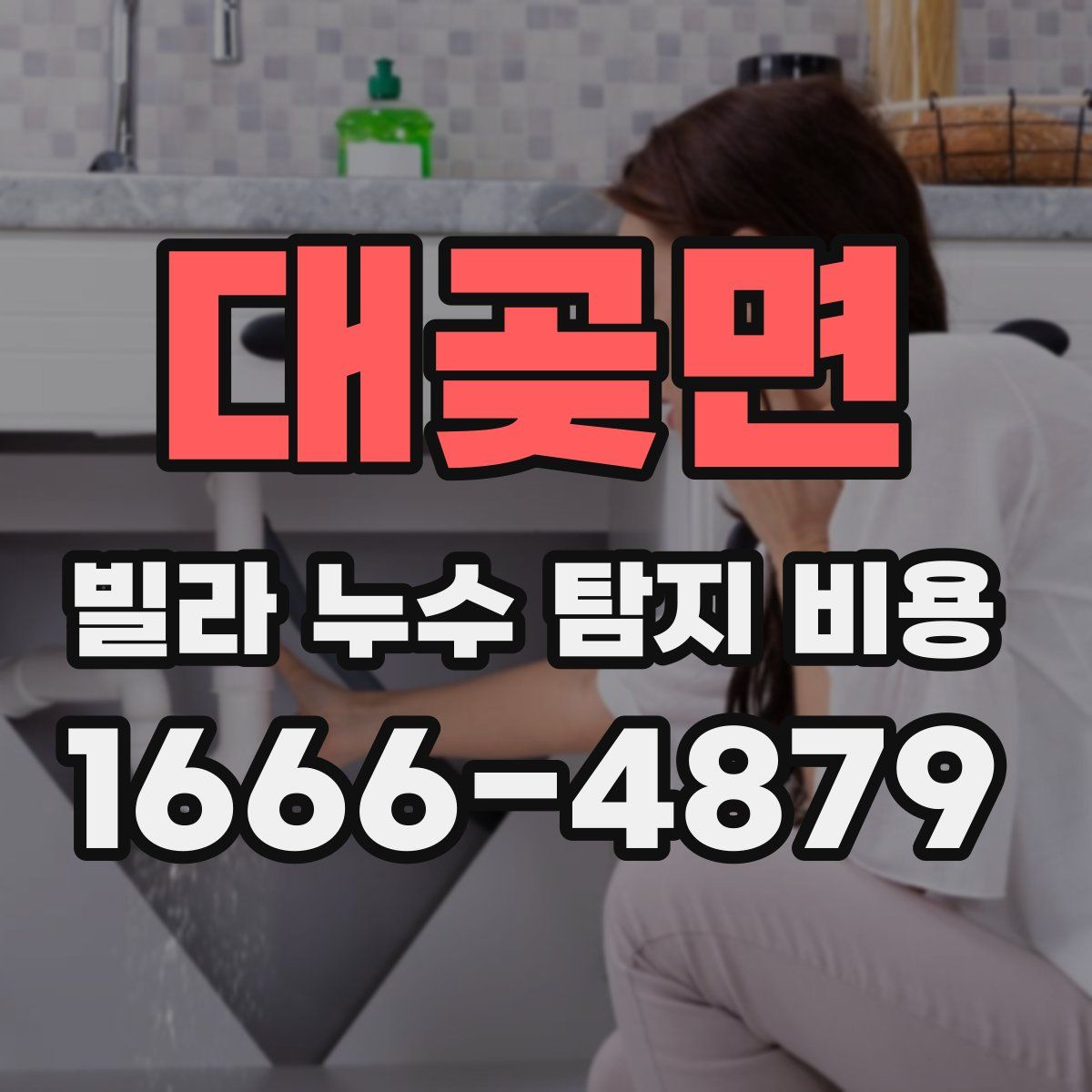 대곶면 빌라 누수 탐지 비용