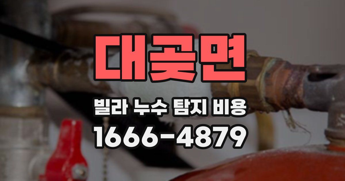 대곶면 빌라 누수 탐지 비용