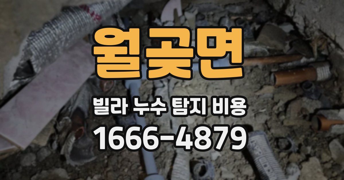 월곶면 빌라 누수 탐지 비용