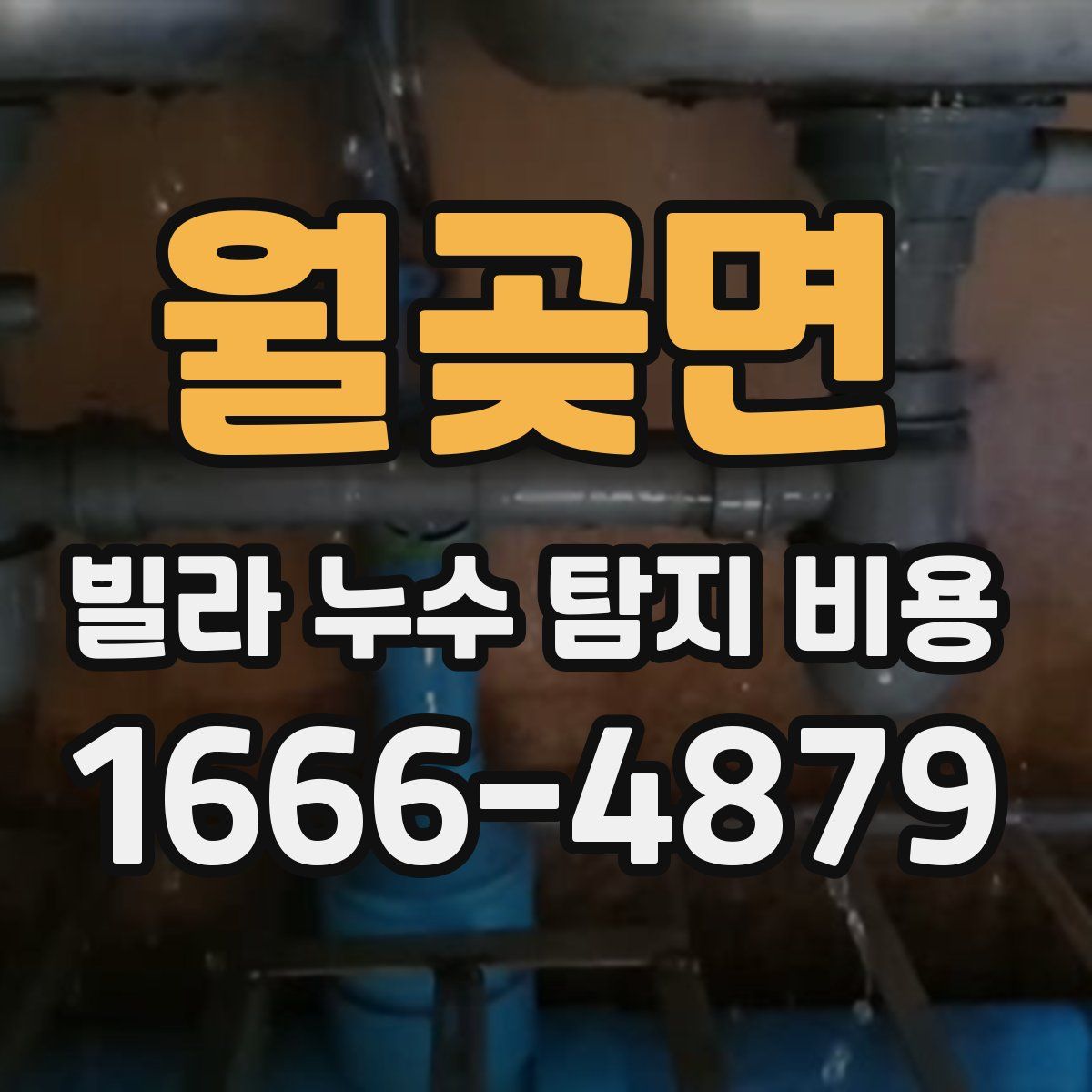 월곶면 빌라 누수 탐지 비용