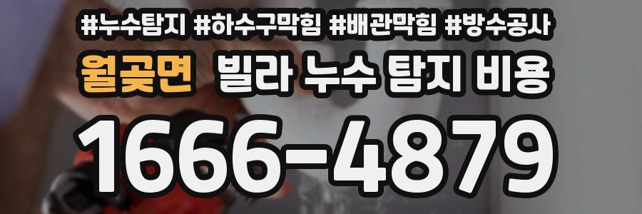 월곶면 빌라 누수 탐지 비용