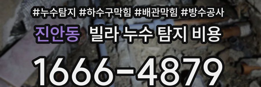 진안동 빌라 누수 탐지 비용