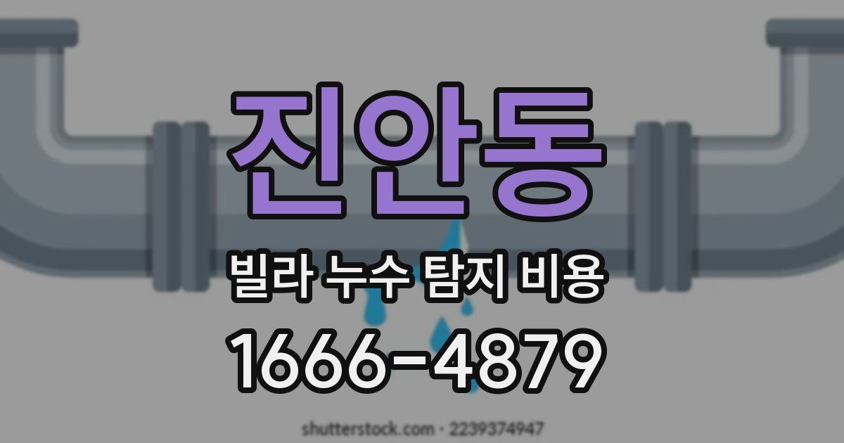 진안동 빌라 누수 탐지 비용