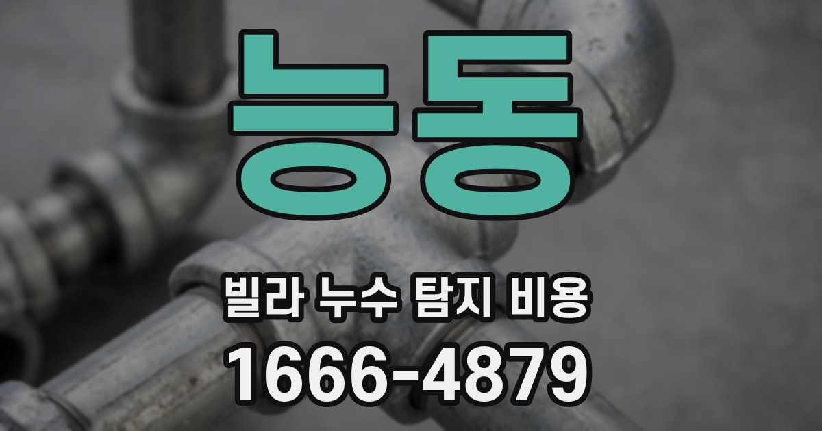 능동 빌라 누수 탐지 비용