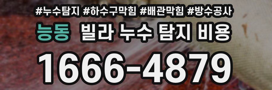 능동 빌라 누수 탐지 비용
