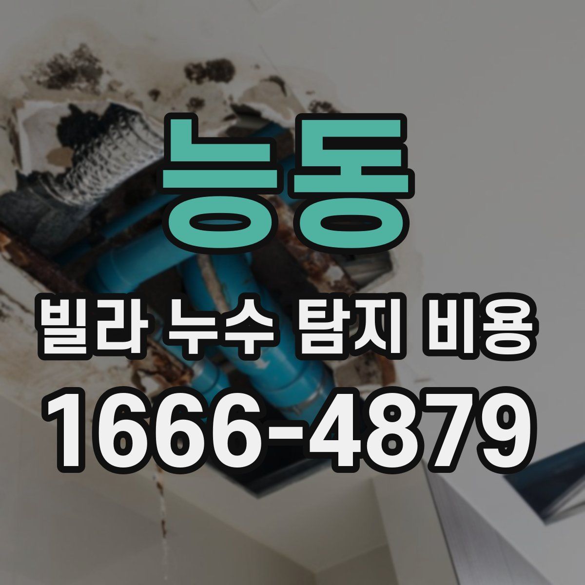 능동 빌라 누수 탐지 비용