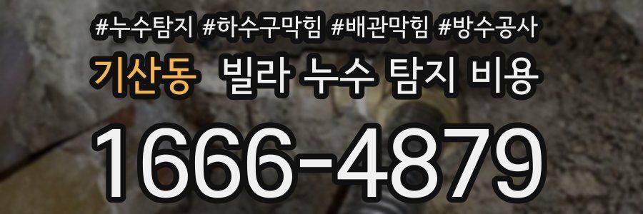 기산동 빌라 누수 탐지 비용