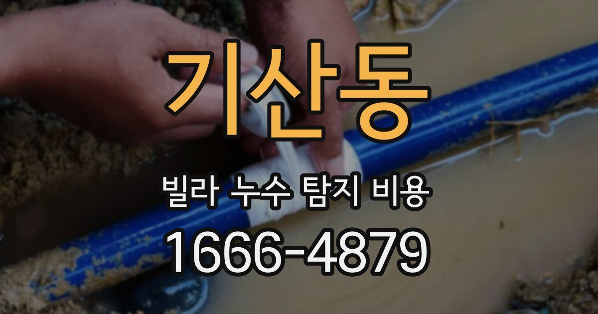 기산동 빌라 누수 탐지 비용