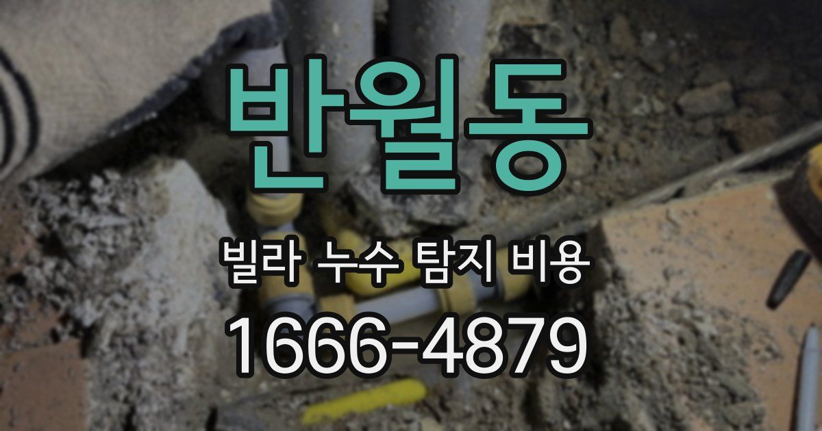 반월동 빌라 누수 탐지 비용