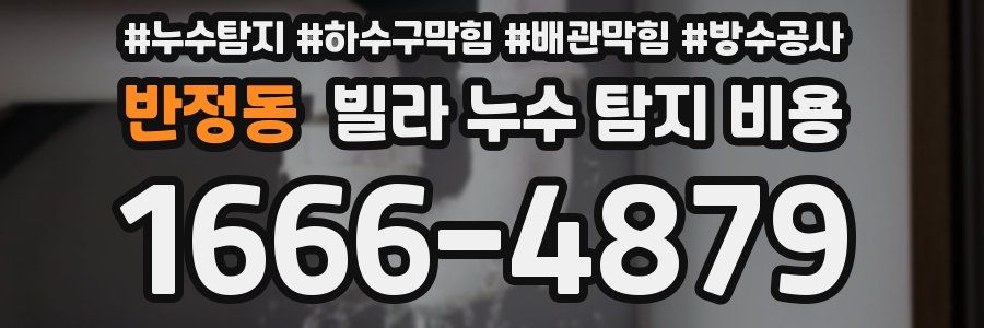 반정동 빌라 누수 탐지 비용