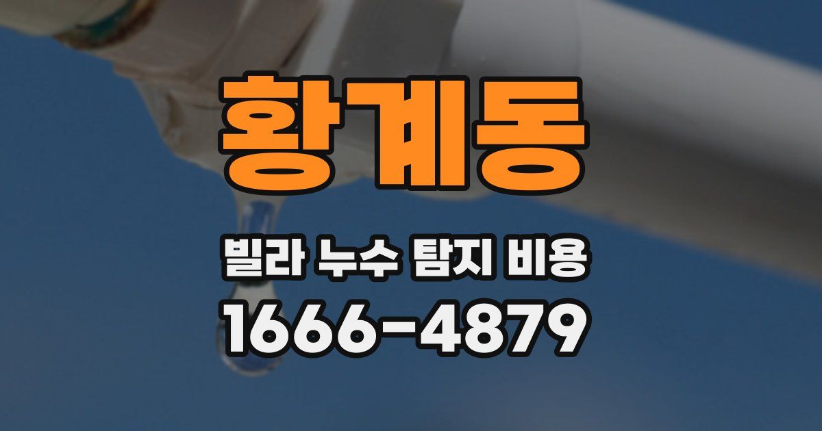 황계동 빌라 누수 탐지 비용