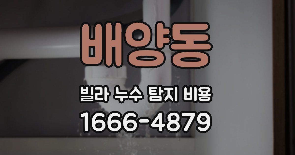 배양동 빌라 누수 탐지 비용