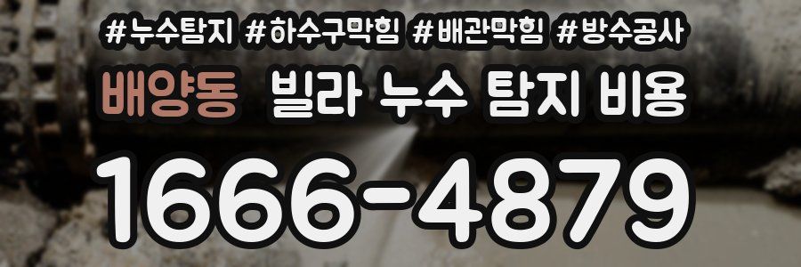 배양동 빌라 누수 탐지 비용