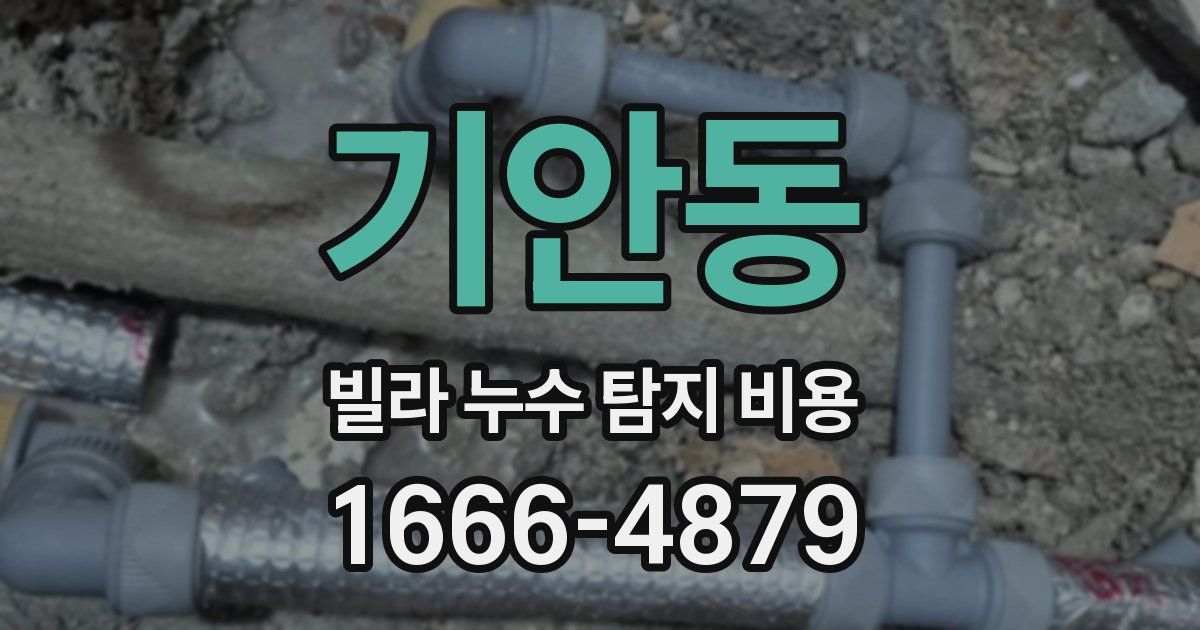 기안동 빌라 누수 탐지 비용
