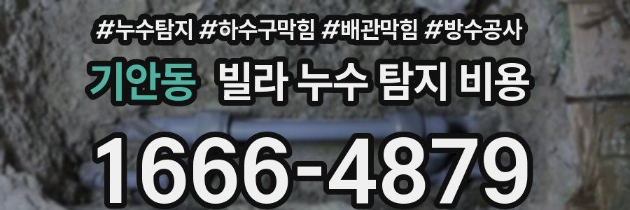 기안동 빌라 누수 탐지 비용