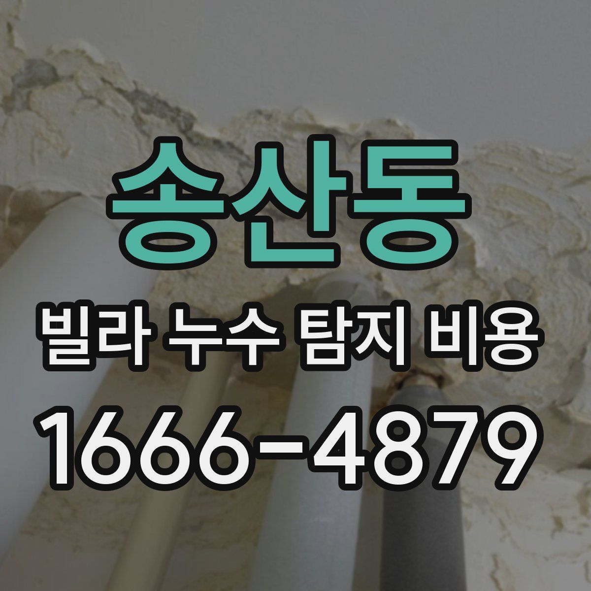 송산동 빌라 누수 탐지 비용