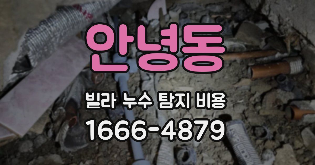 안녕동 빌라 누수 탐지 비용
