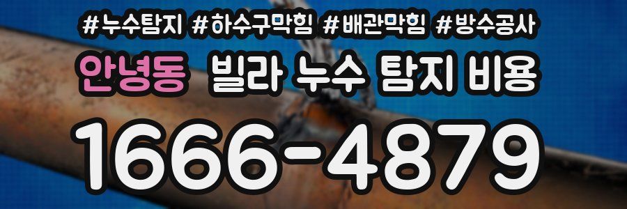안녕동 빌라 누수 탐지 비용